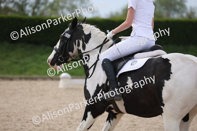 20260502-1073 - Class 9 - Novice 1