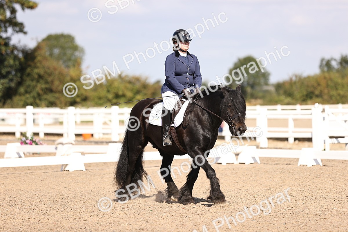 SBM_03521 - CLass 35 Intro 3