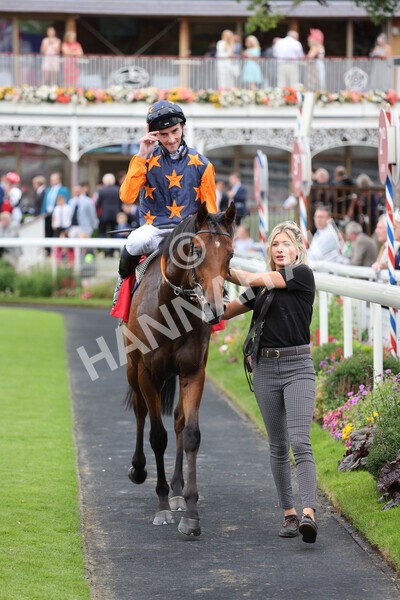 yr19082021r2-32 - Race 2 2.25pm Goffs UK Premier Yearling Stakes
