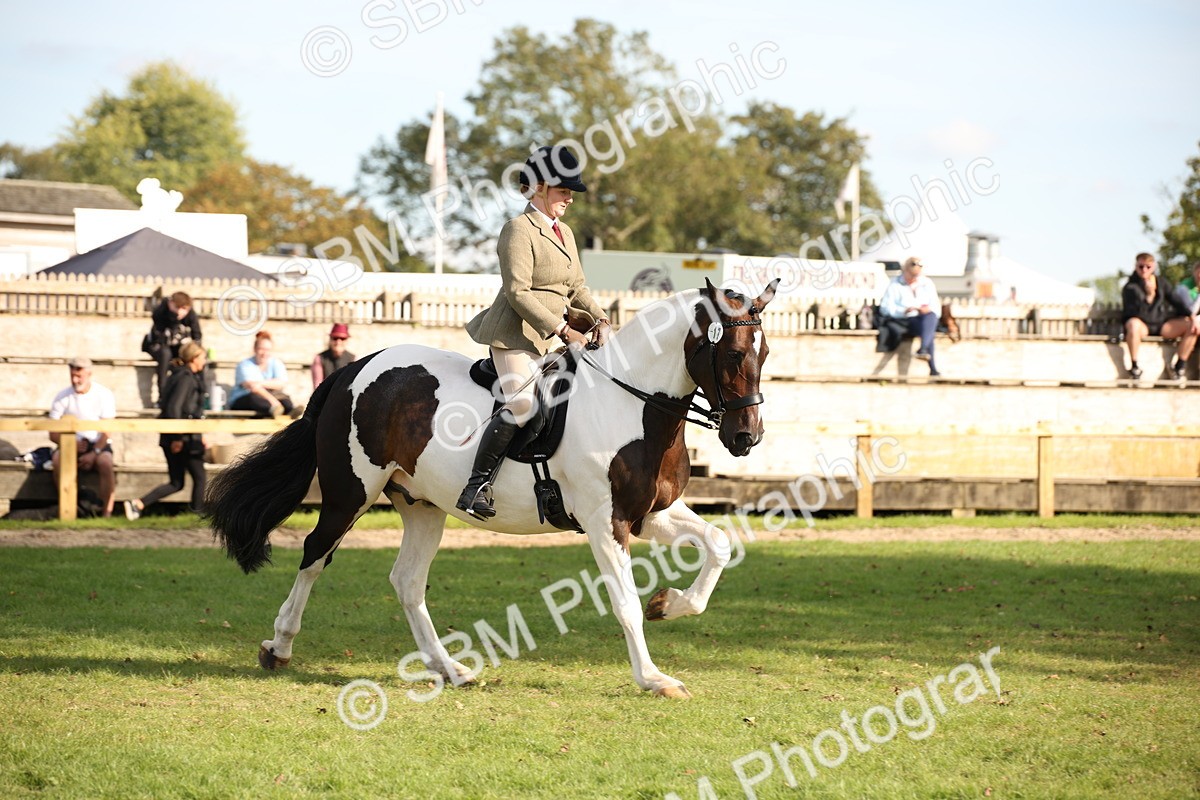 SBM_50185 - S26 - Young Veteran - Ridden