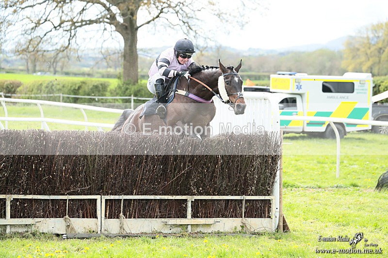 PtP 180426 330 - Worcestershire Hunt PtP Chaddesley Corbett 18/04/26