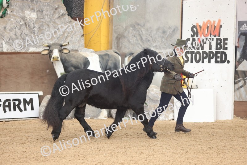 20251109-0062 - Class 3 - 2 and 3 Year Old