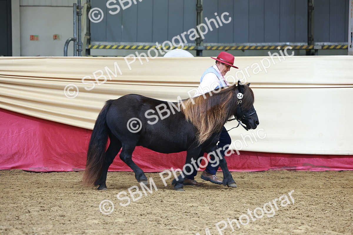 SBM_22261 - Class 902 - Supreme Final - IH Diamond