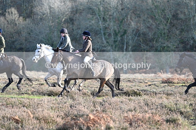 WJ7_7946 - Line 3 (no line 4 or 5)