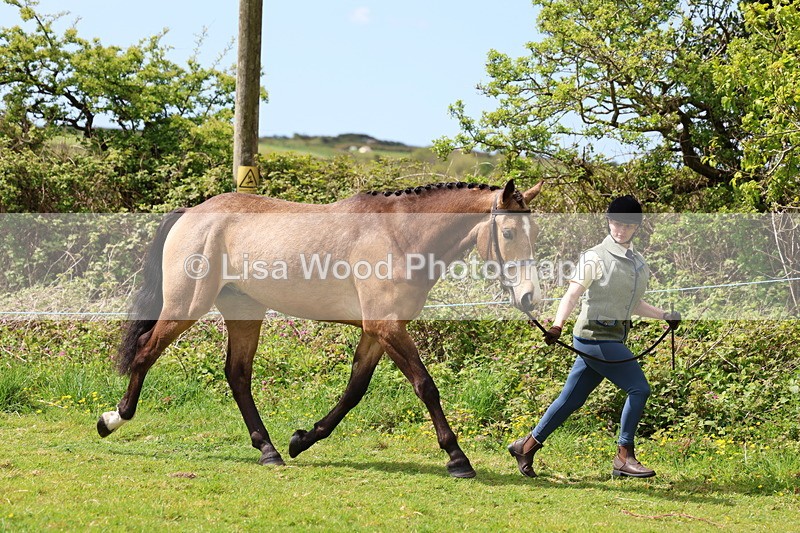 3E7A0458 - Class 20: Sports Horse