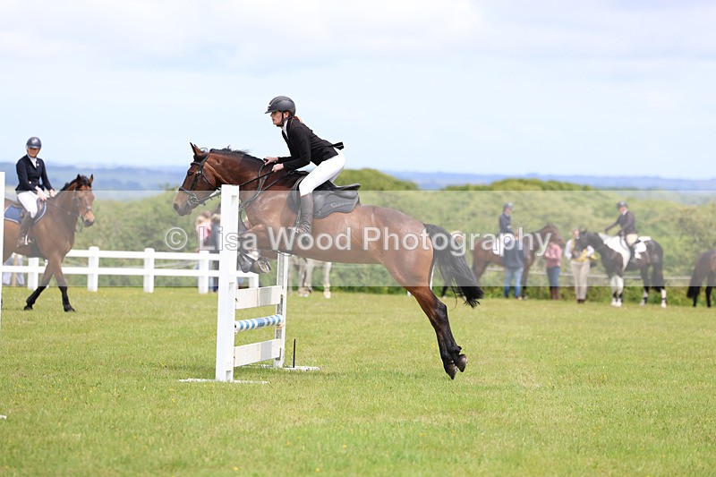 3E7A7266 - Class 13: Senior British Novice/90cm open