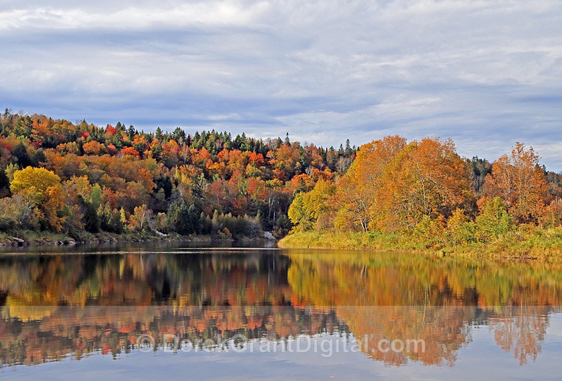 Hammond River Autumn Foliage Fall Colors New Brunswick Canada - Autumn Foliage