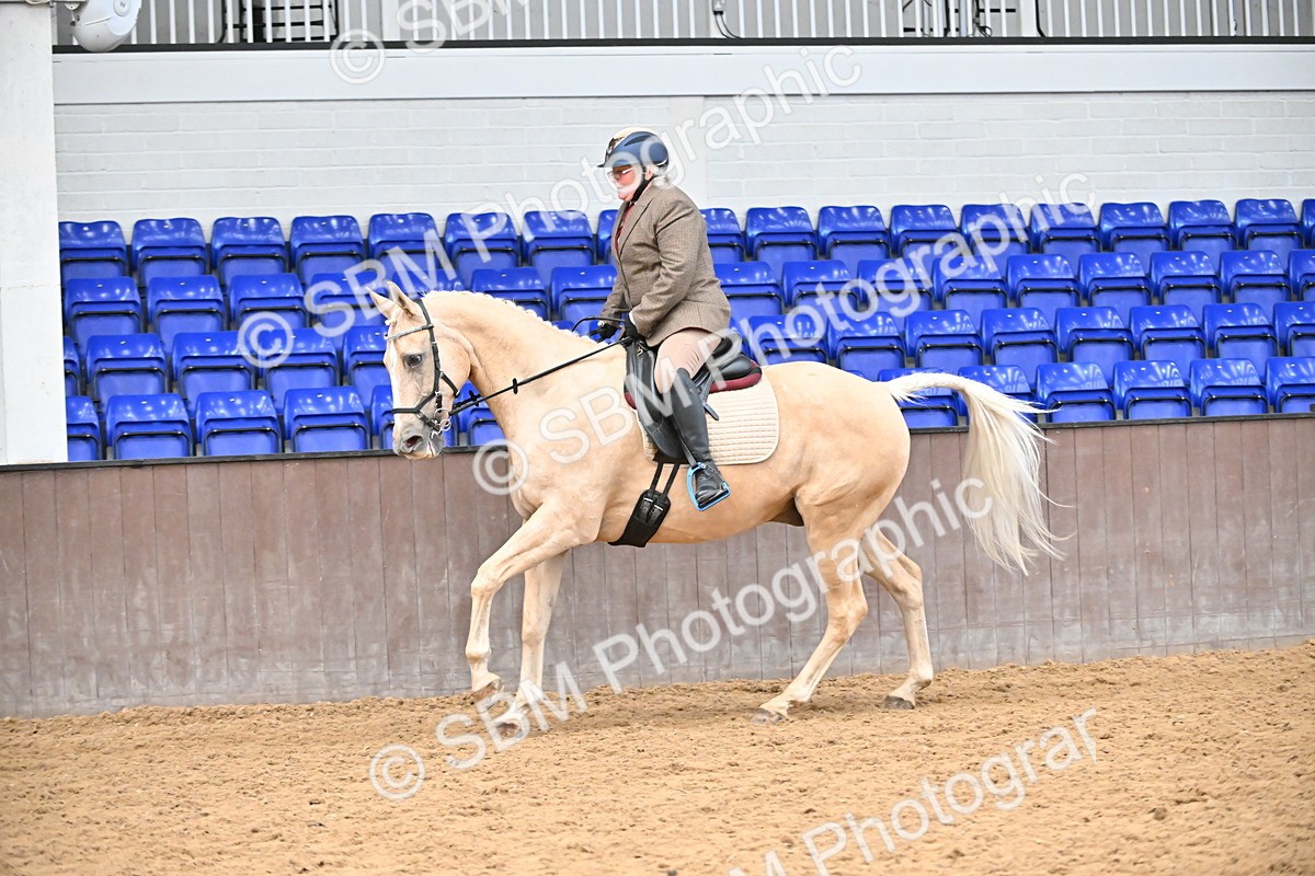 SBM_001472 - Class 19,20 - Ridden Native, Foreign Breeds & Warmbloods