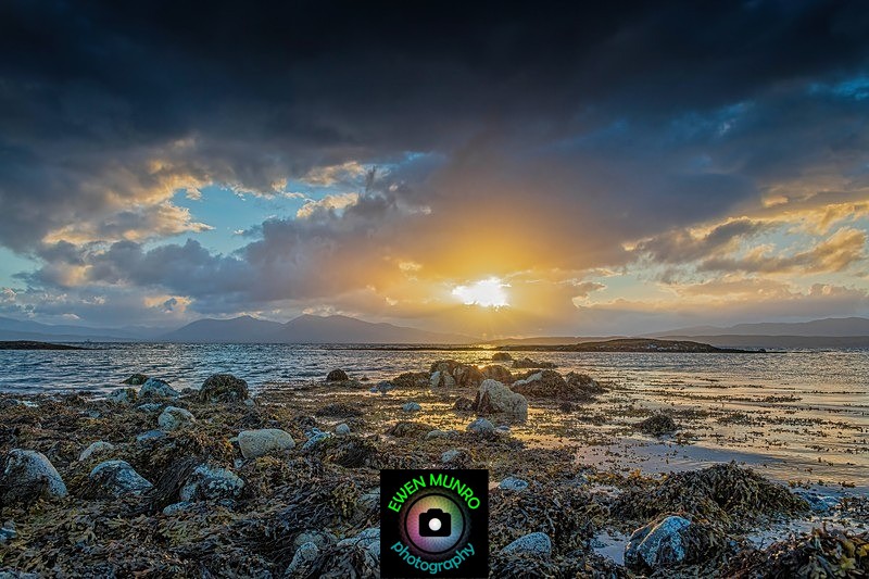 L-16-Seaweed Sunset - 'LUMINAL'
