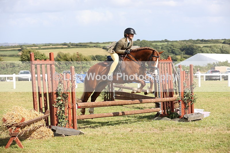 JPP_2760 - Class 20: Working Hunter 70cm