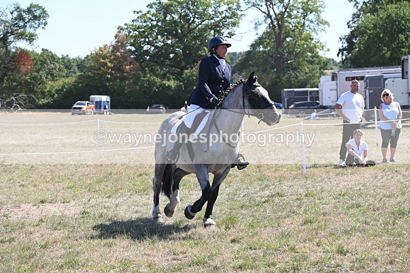 WJ6_8898 - Class 38 Ridden Riding Horse/Pony