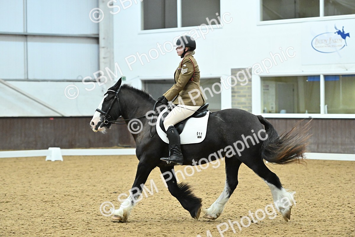 SBM_007466 - Class 81 - Novice 3