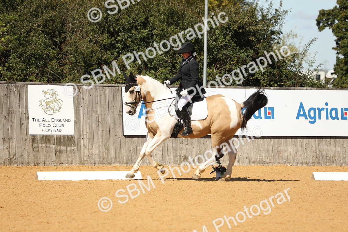SBM_19669 - D10 - Small Tour Championship - Prelim 2