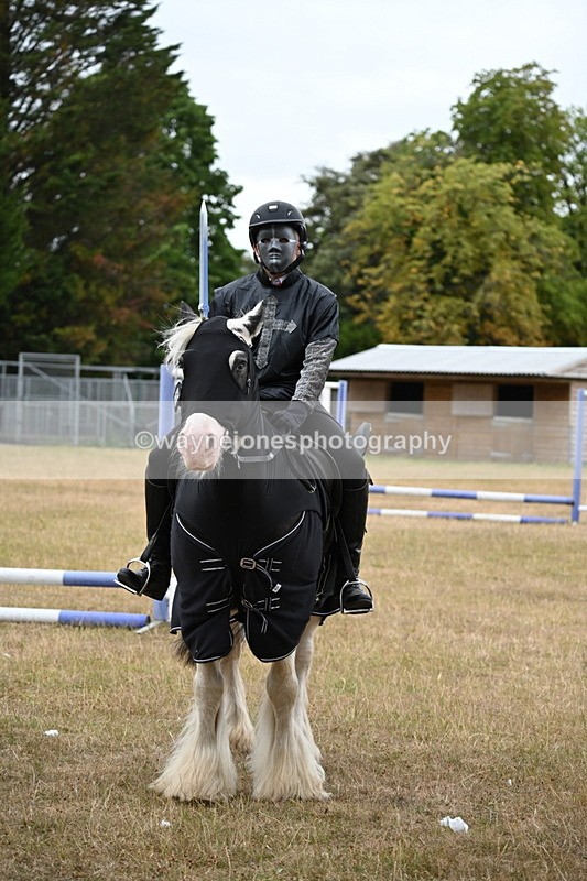 WJ6_8970 - Class 11 Fancy Dress