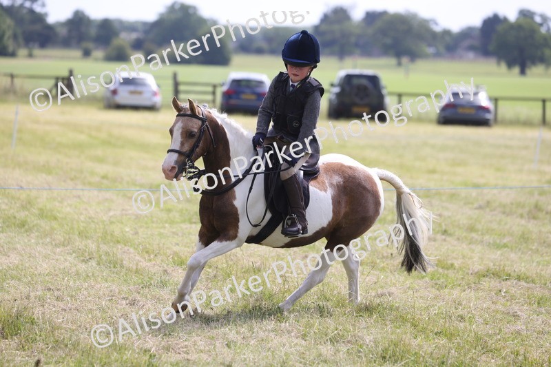 20260614-0703 - Class 20 - Beginners Working Hunter Pony