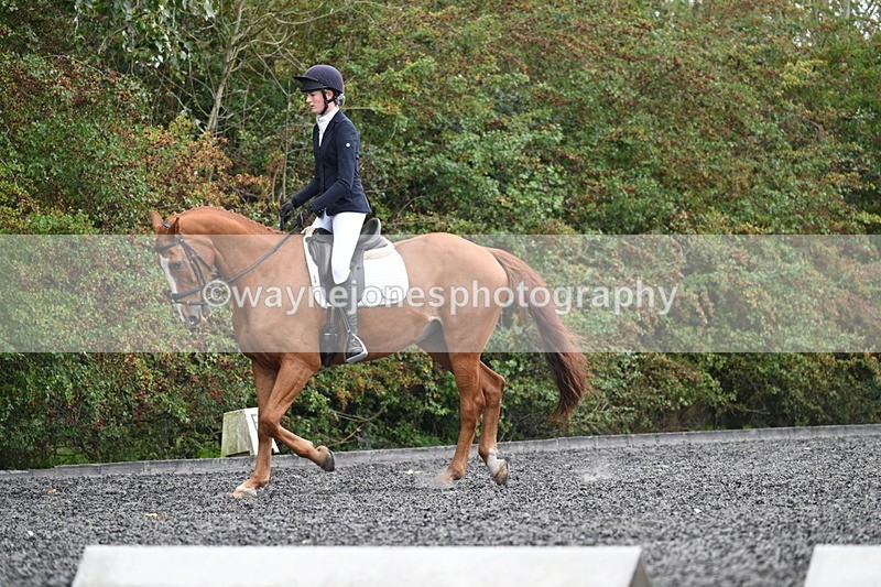 WJ7_6728 - Time 14:49 to 15:14