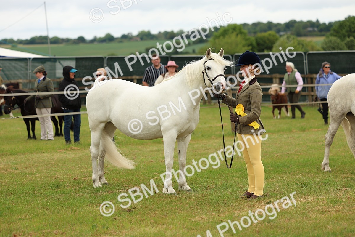 SBM_04245 - Class 64-67 - Shetland Pony In Hand