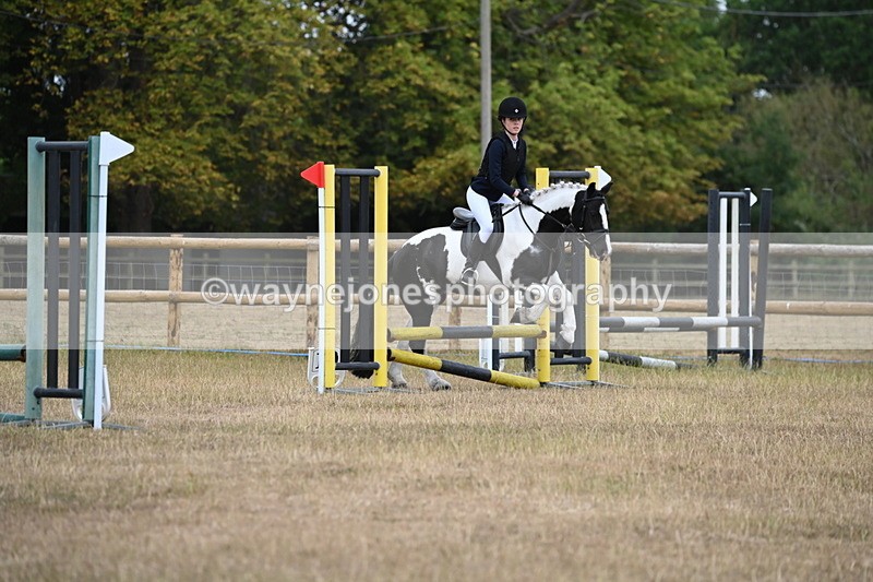 WJ6_0126 - Class 13 Novice Jumping 60cm