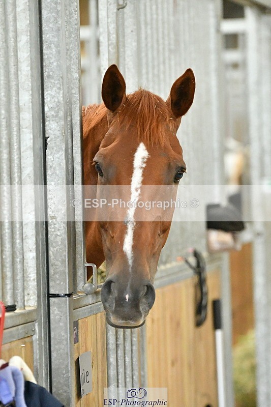 230803A-160422-00791 - Danielle's Ride