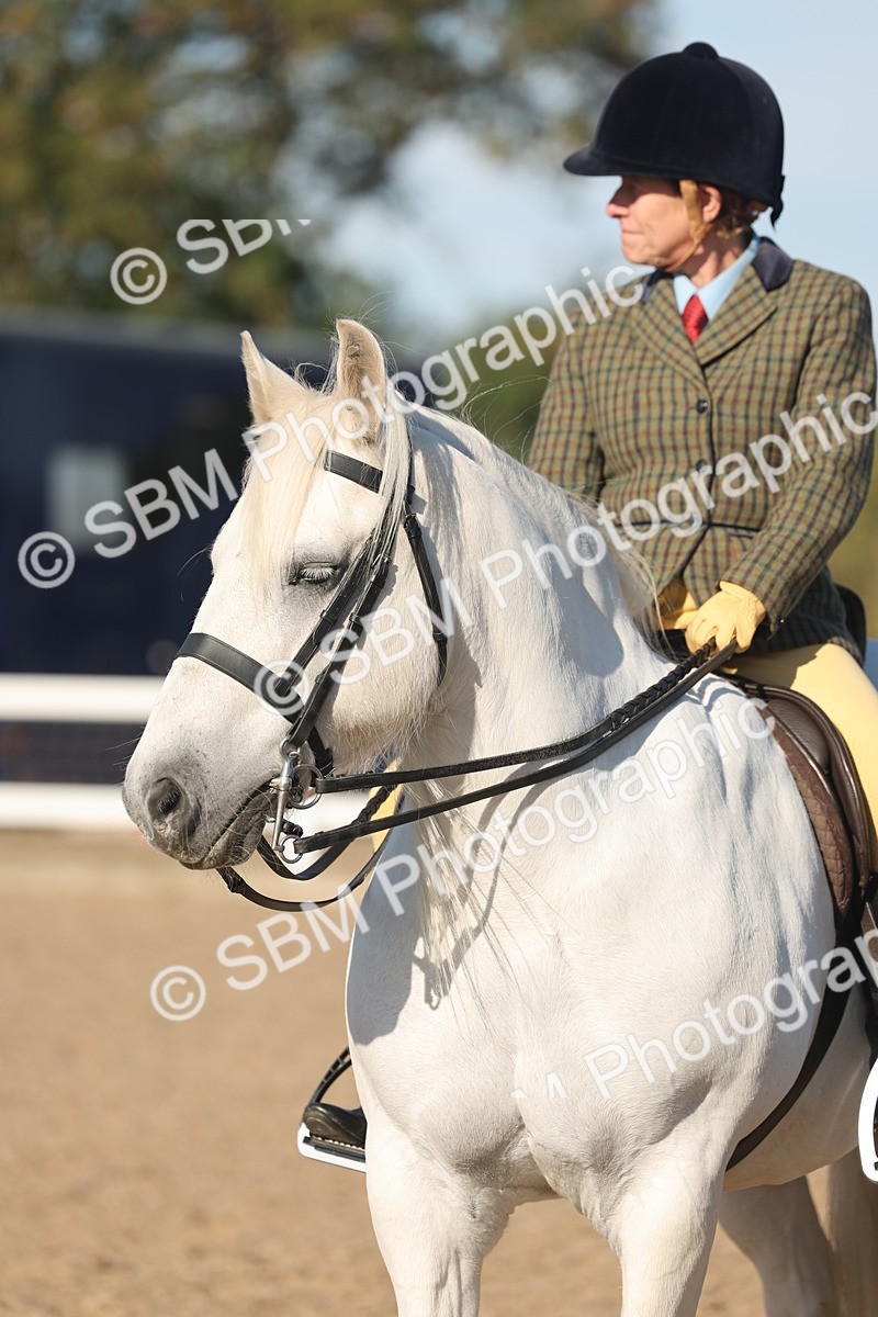 SBM_11076 - Class 302 - Ridden M&M Large Breeds