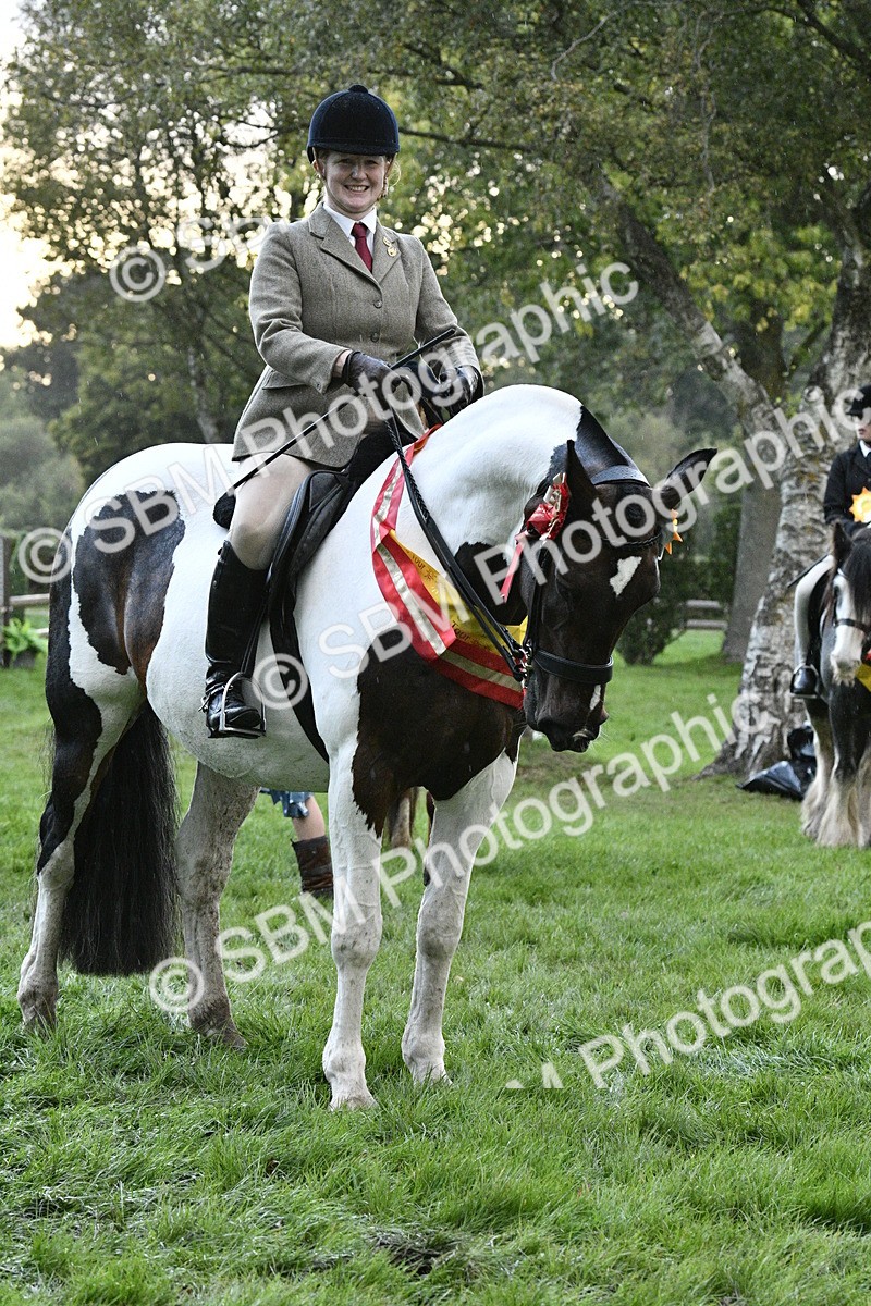 SBM_53340 - S14 - Riding Club Horse