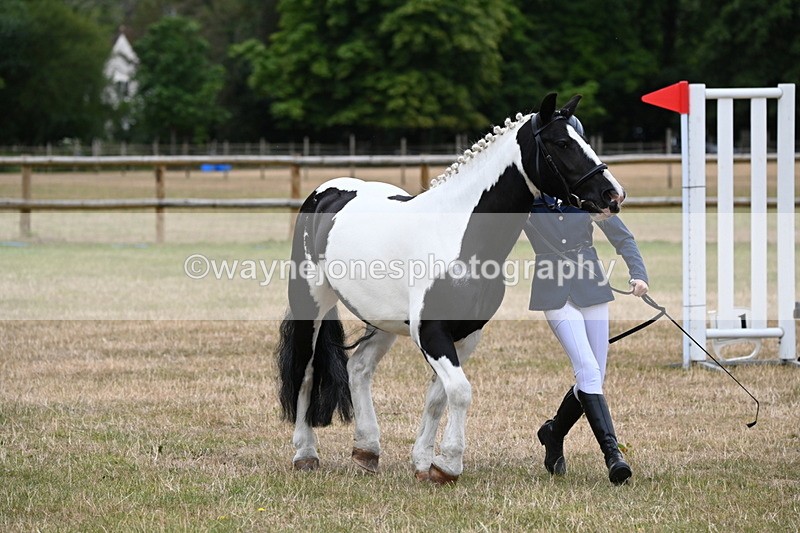 WJ6_4397 - Class 10 Coloured In-hand