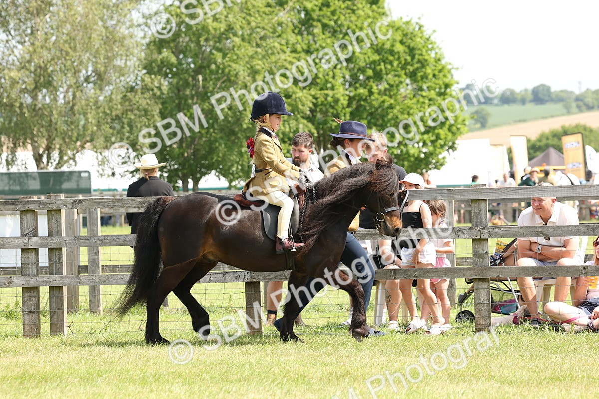 SBM_05163 - Class 24-25 - Mountain & Moorland In Hand Lead Rein and First Ridden