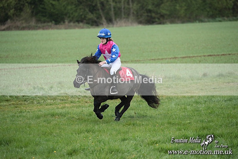SHETPR 210425 110 - Shetland Ponies Paxford Races 21/04/25