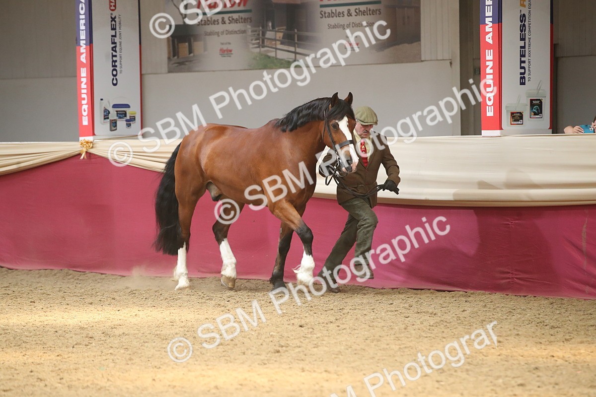 SBM_05589 - Class 9R - Regional IH Pre-Vet