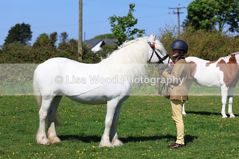 3E7A9891 - Class 17: Young Handler