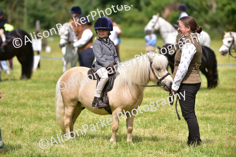 20260614-1276 - Class 11a - Lead Rein Pony (Unplaited)