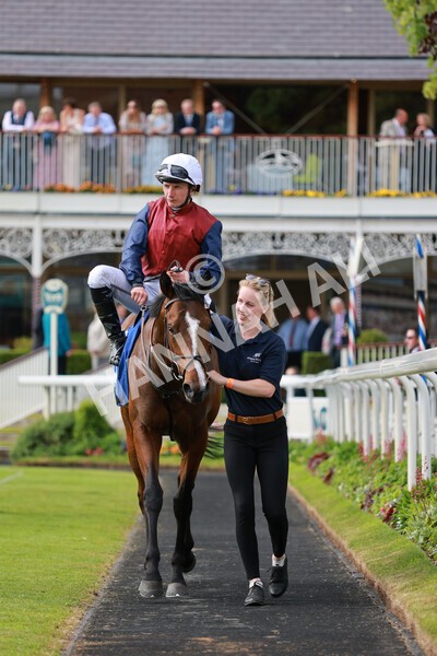 yr21052022r5-35 - Race 5: 4:07pm Phoebe Johnson Celebration EBF Restricted Novice Stakes