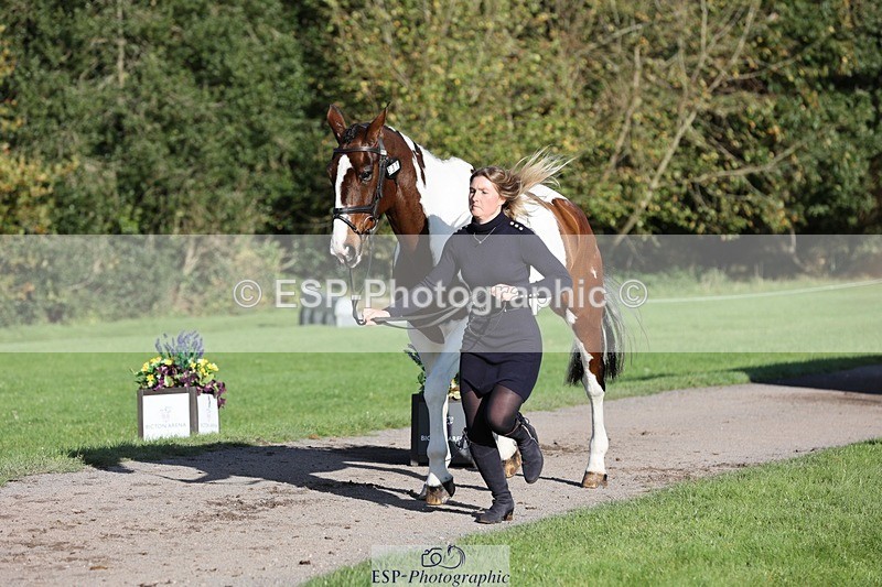 241027-095217-15548 - 331-Amber.Williams-COSMIC.MIKADO