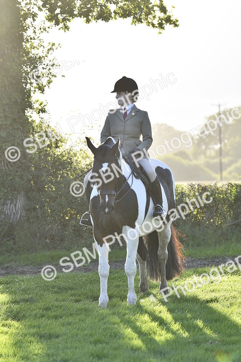 SBM_53589 - S14 - Riding Club Horse