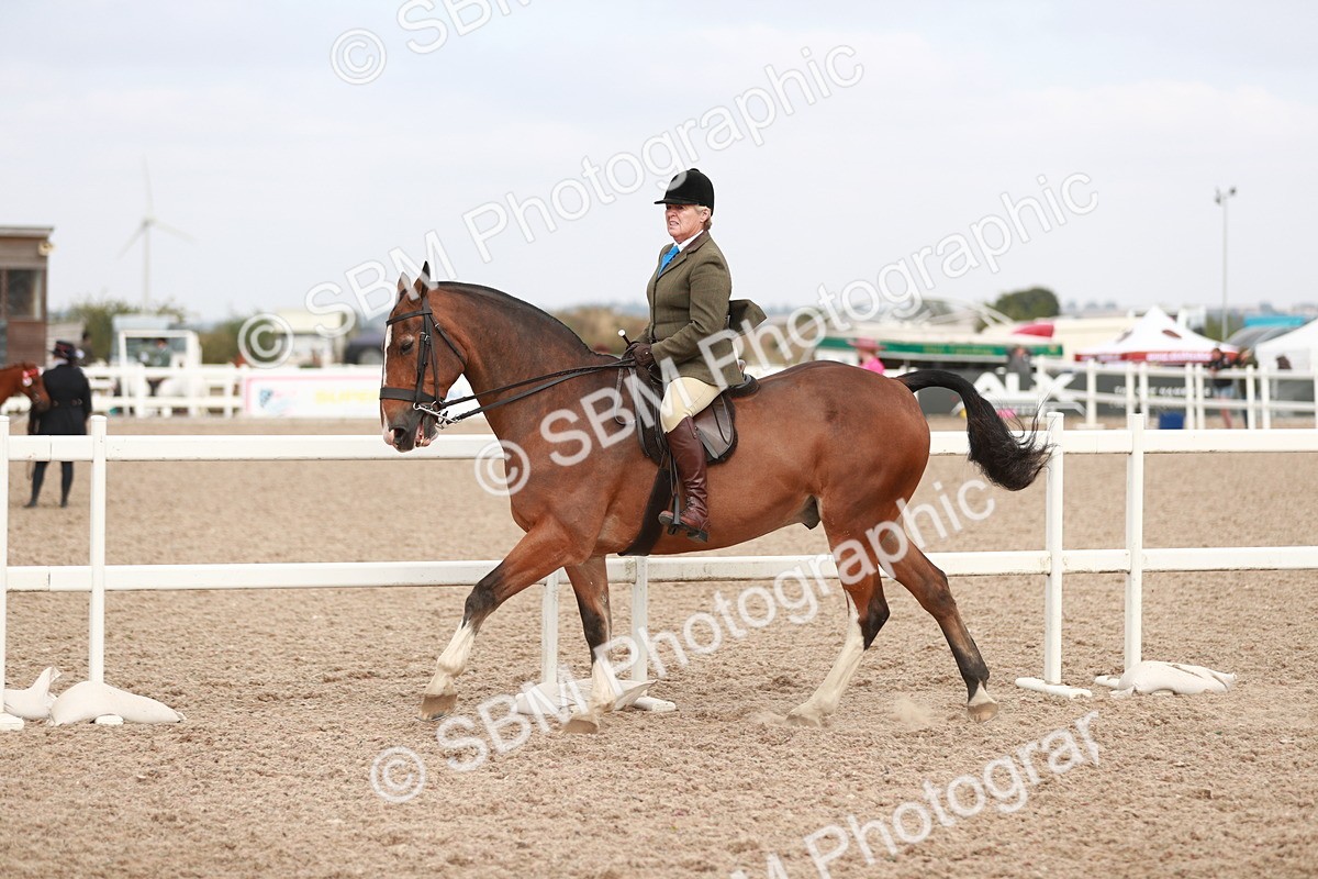 SBM_16693 - Class 214 Ridden Cob
