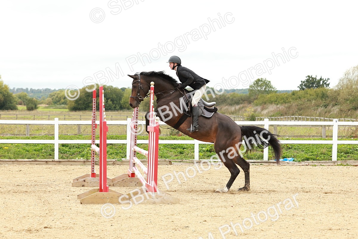 1I0A6917 - Class 2 - Senior British Novice