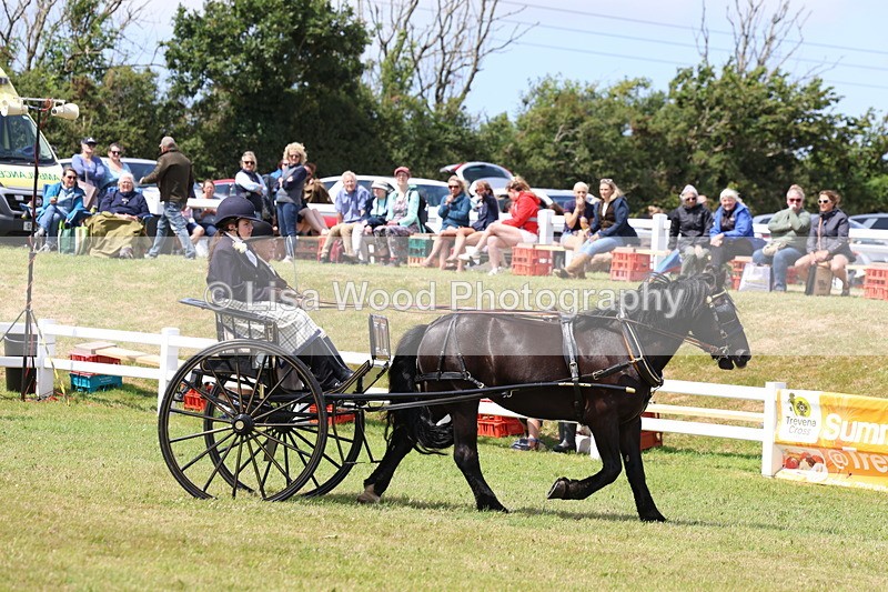 3E7A2667 - Class 12: Open Driving