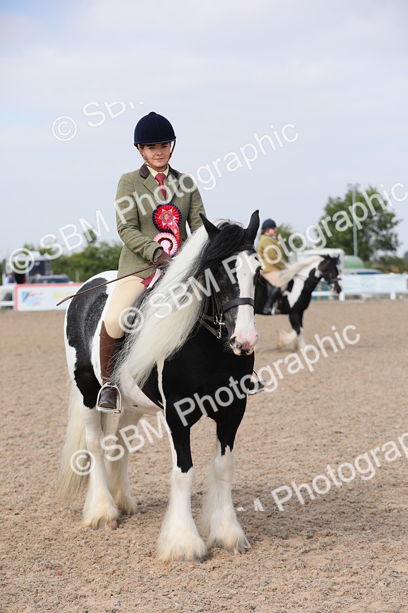 SBM_12864 - Class 307 Ridden Coloured Pony
