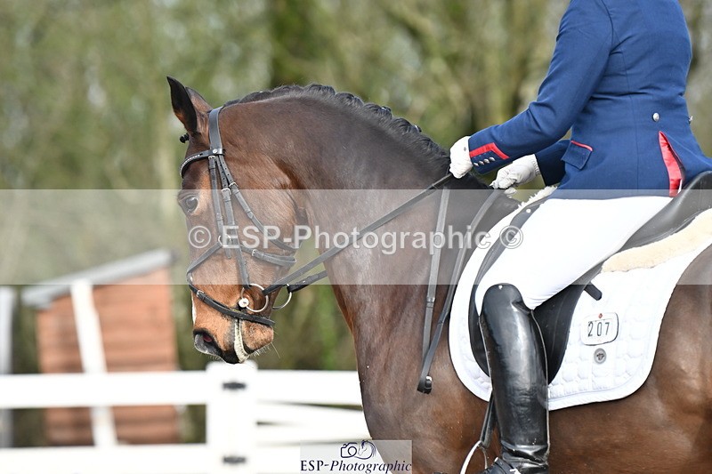 240218A-112800-06697 - 207-Charlotte.Dicker-Time.to.Fly.II