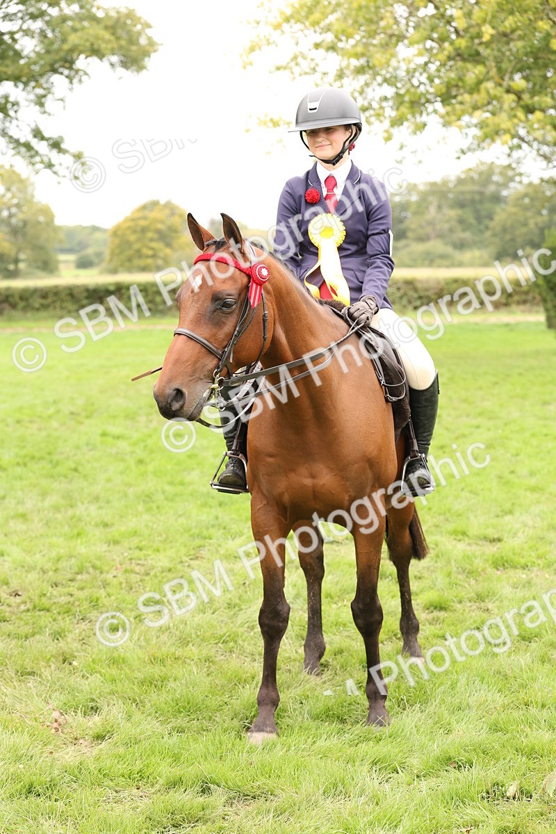 SBM_64350 - S65 - Riding Horse & Hack & Thoroughbred Ridden