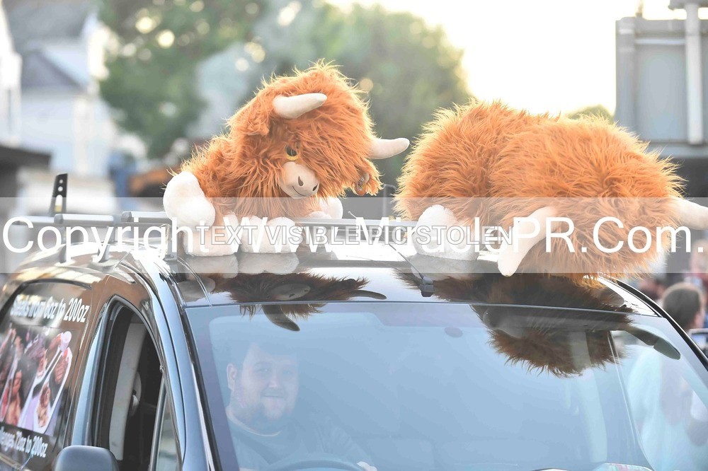 SH4_3969 - Carnival Procession.