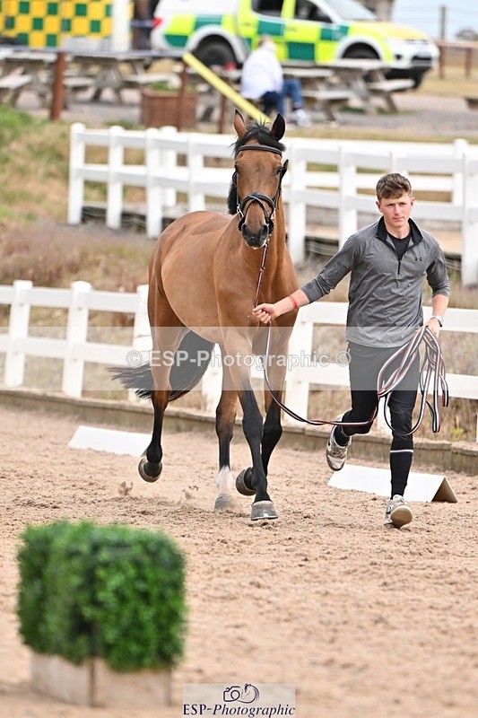 250716-151604-01830 - Trot Up 2.30 to 3.30