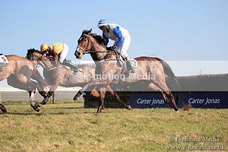 PtP 230219 338 - Vine & Craven Point-To-Point - Barbury 23/02/19