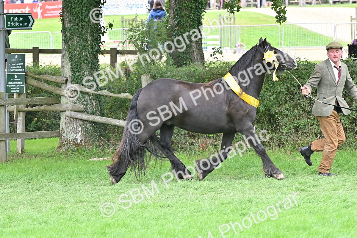 SBM_65001 - In Hand Pony & Younstock Supreme Championship