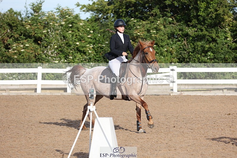 240629A-073945-02166 - Cls 16 British Novice and 80cm Open