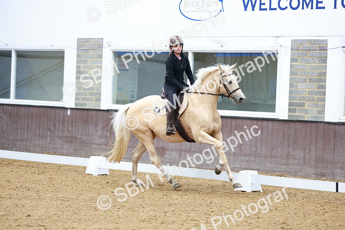 1I0A0642 - Class 3-6 - Prelim 1-Novice 2