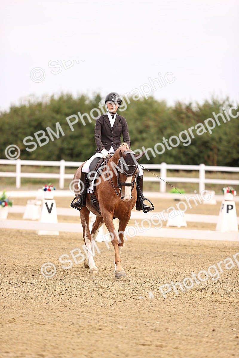 SBM_011529 - Class 1 - Medium 5