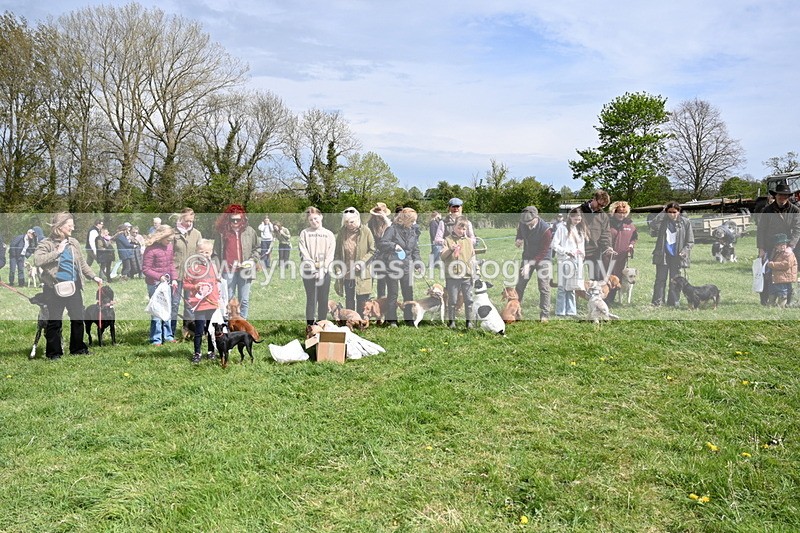 WJ6_8389 - Class 4 Prettiest Bitch