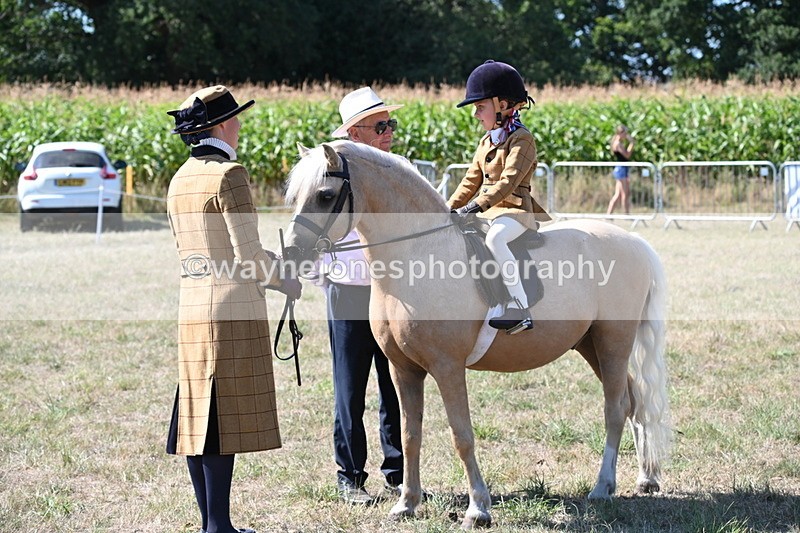 WJ6_8026 - Class 36 Lead Rein