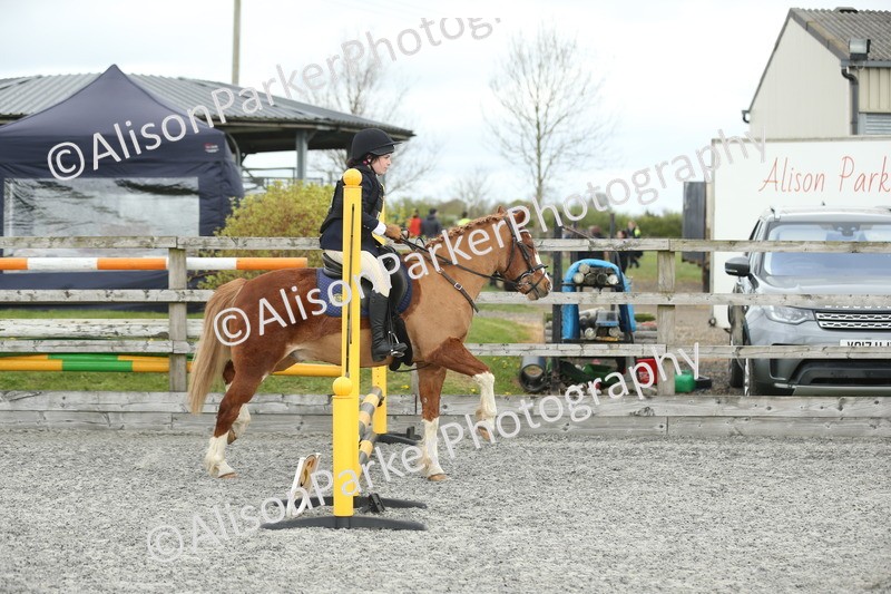 20260412-0610 - Show Jumping